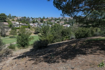 Enlarge photo 76