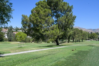 Enlarge photo 81