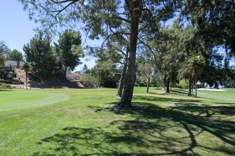 Enlarge photo 91
