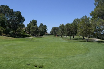 Enlarge photo 92