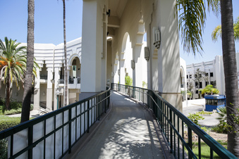 Enlarge photo 37