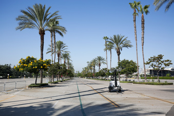 Enlarge photo 30