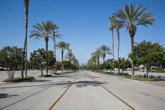 Enlarge photo 31