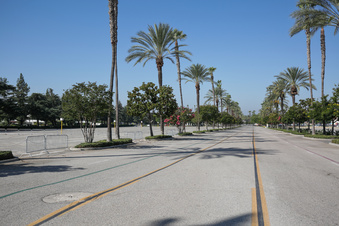 Enlarge photo 33