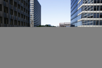 Enlarge photo 130