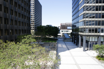 Enlarge photo 131