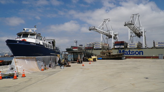 Enlarge photo 37