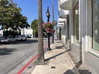 Rodeo Drive
