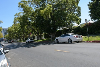 Enlarge photo 15