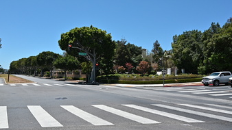 Enlarge photo 96