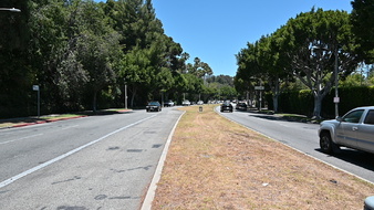 Enlarge photo 98