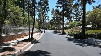 Enlarge photo 102