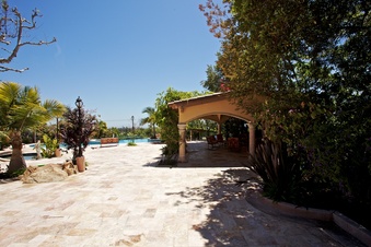 Enlarge photo 131