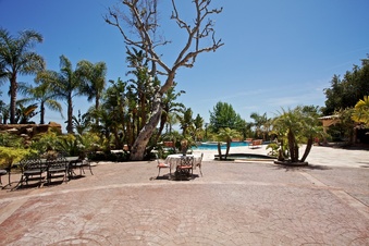 Enlarge photo 182