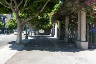 Enlarge photo 23