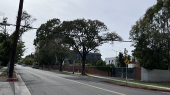 Enlarge photo 20
