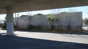 Enlarge photo 64