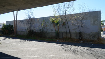 Enlarge photo 65