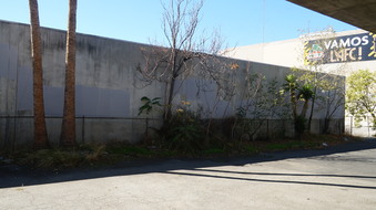 Enlarge photo 67