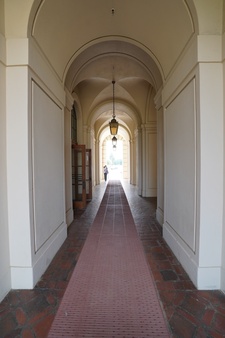 Enlarge photo 65