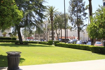 Enlarge photo 7