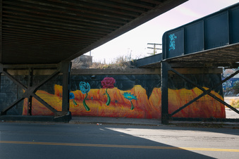 Enlarge photo 74