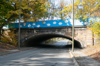 Enlarge photo 97
