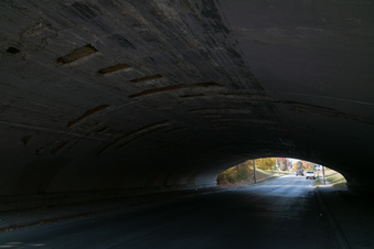 Enlarge photo 98