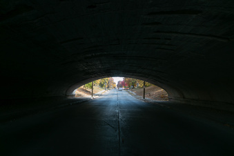 Enlarge photo 99