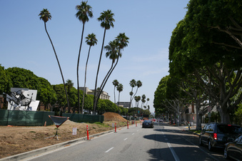 Enlarge photo 10