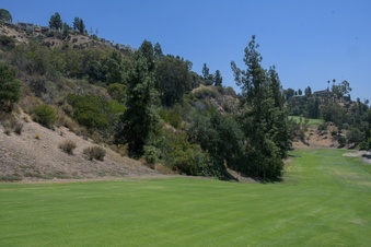 Enlarge photo 43