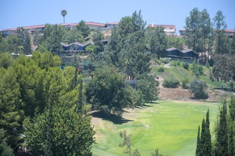 Enlarge photo 72
