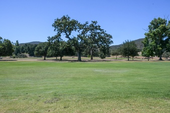 Enlarge photo 33