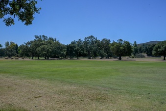 Enlarge photo 34