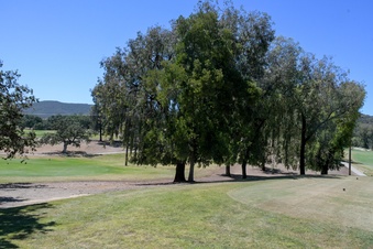 Enlarge photo 40
