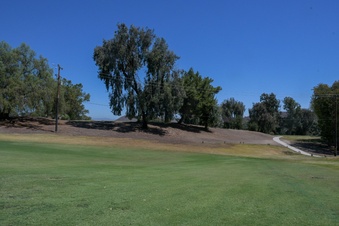 Enlarge photo 43