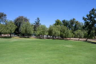 Enlarge photo 46