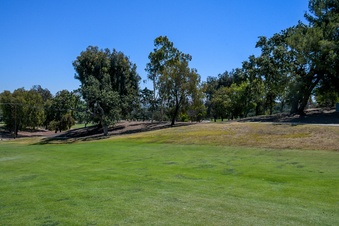 Enlarge photo 47