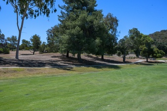 Enlarge photo 49