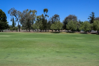 Enlarge photo 51