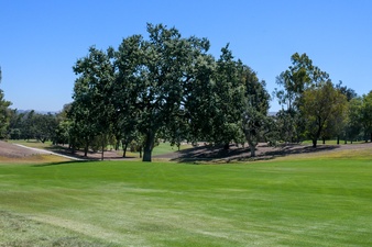 Enlarge photo 55