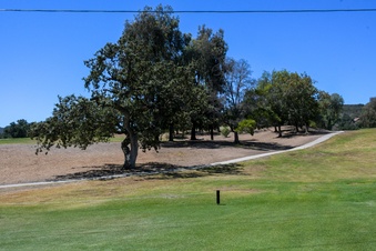 Enlarge photo 65