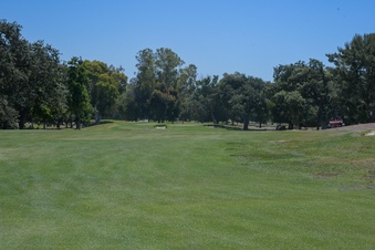 Enlarge photo 68