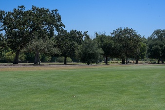 Enlarge photo 69