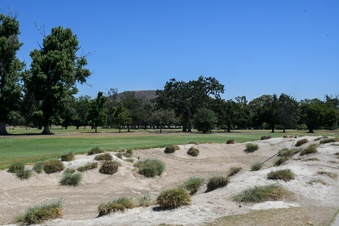 Enlarge photo 73