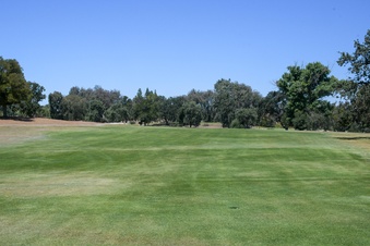 Enlarge photo 79