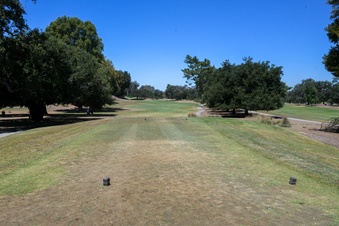 Enlarge photo 81