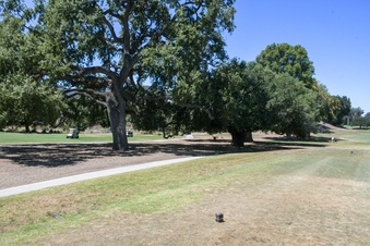 Enlarge photo 84