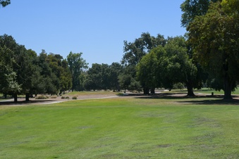Enlarge photo 86