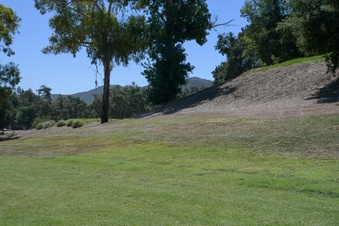 Enlarge photo 88